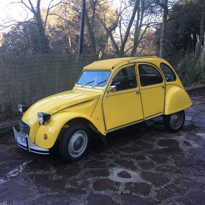 Whatsapp Image 2021 12 20 At 07.51.33 1